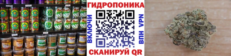 shop официальный сайт  Новокузнецк  Canna-Cookies марихуана  кракен ONION 
