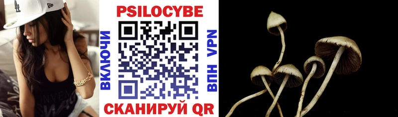 Галлюциногенные грибы Cubensis Новокузнецк